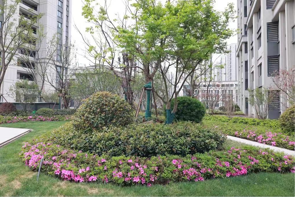 交通方便、配套齐全，824套保险房即将交付！