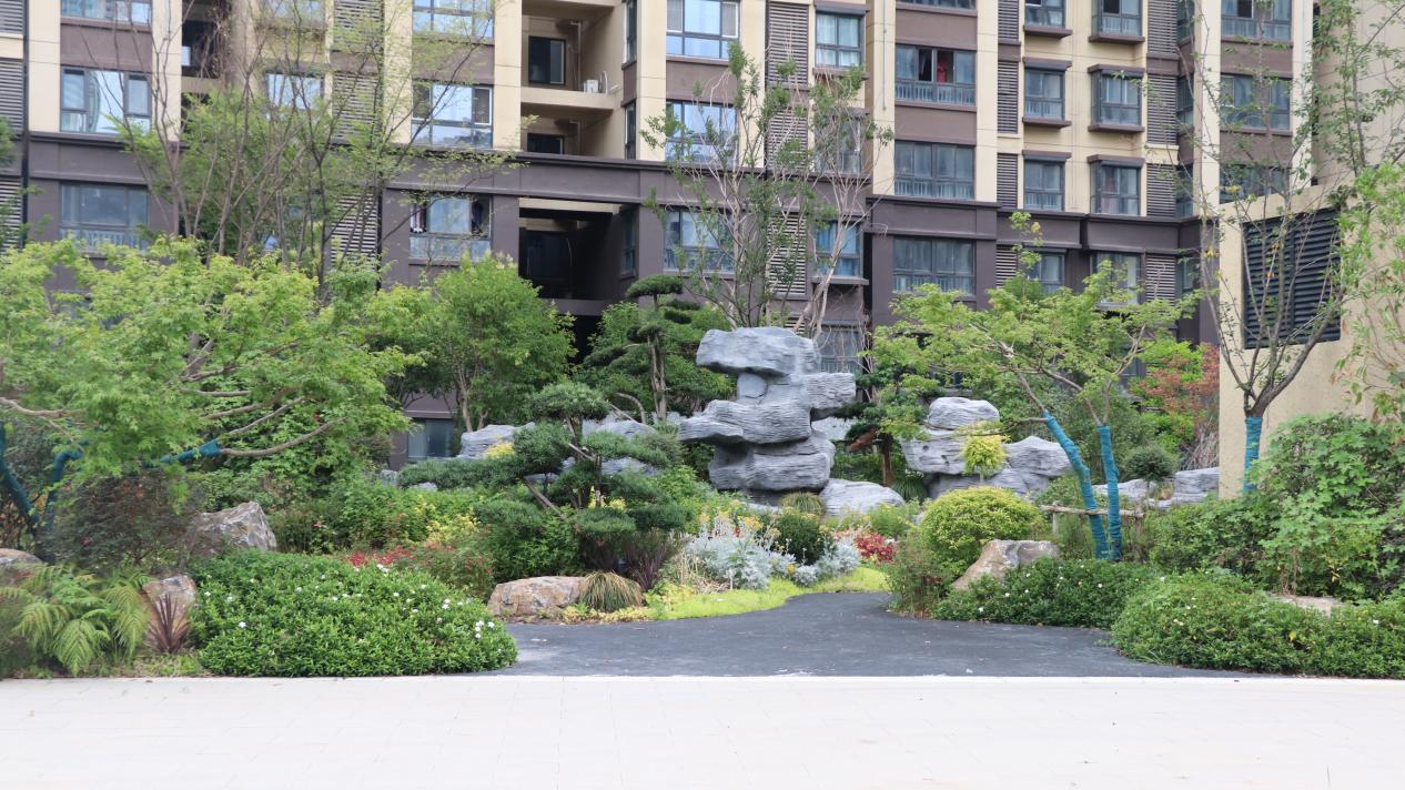 “生涯惬意，服务中意” 葛塘西片区地块保险房交付回访业主这样说