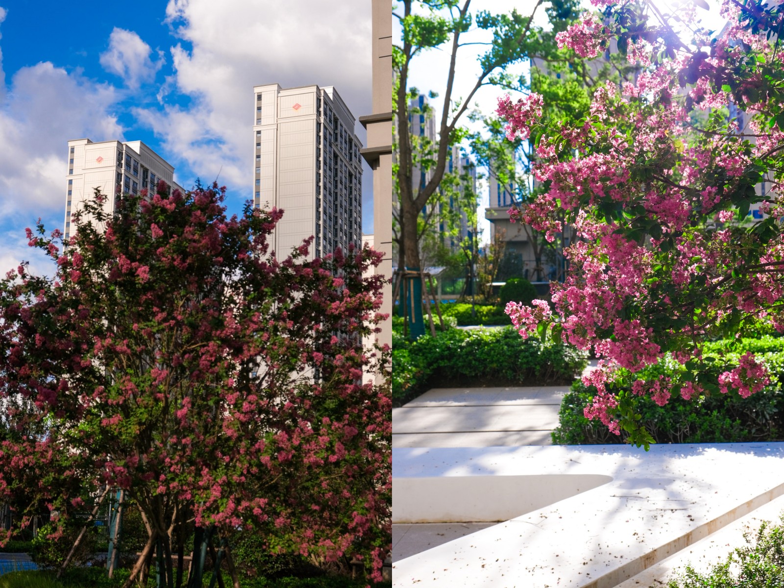 台风过境，这一大波民生项目be like（图说保险房）